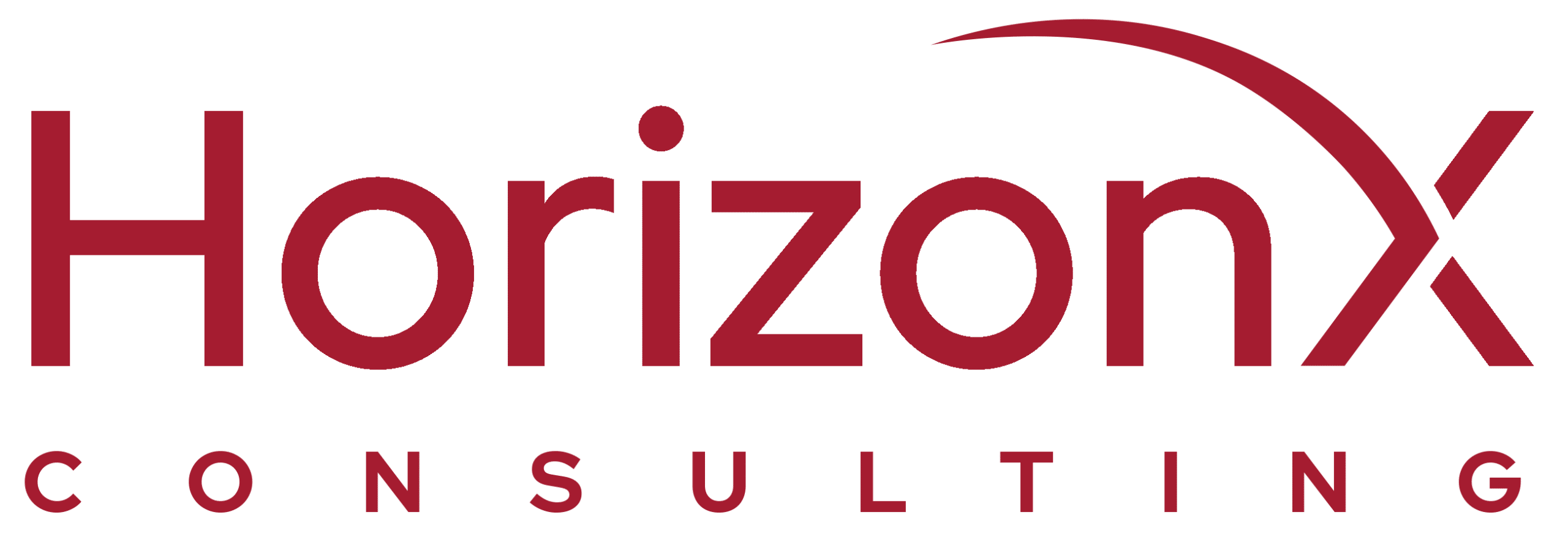 HorizonX Consulting / 